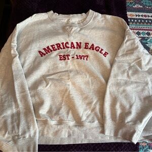 American Eagle Outfitters Light Gray Crewneck Sweater